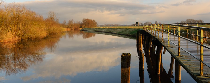 Hoenwaard (2)